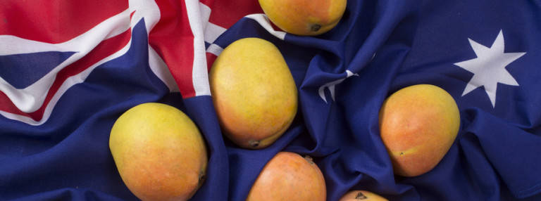 top 10 best mangoes in australia